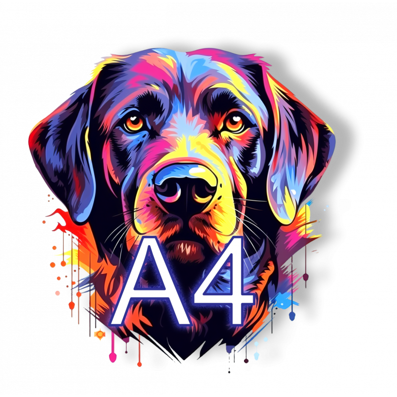 DFT-A4 TEST! (nicht bestellen!!)