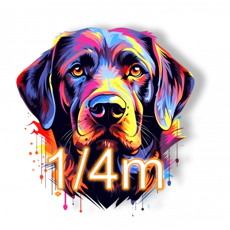 DFT-1/4 m TEST! (nicht bestellen!!)