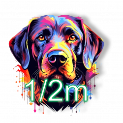 DFT-1/2 m TEST! (nicht bestellen!!)