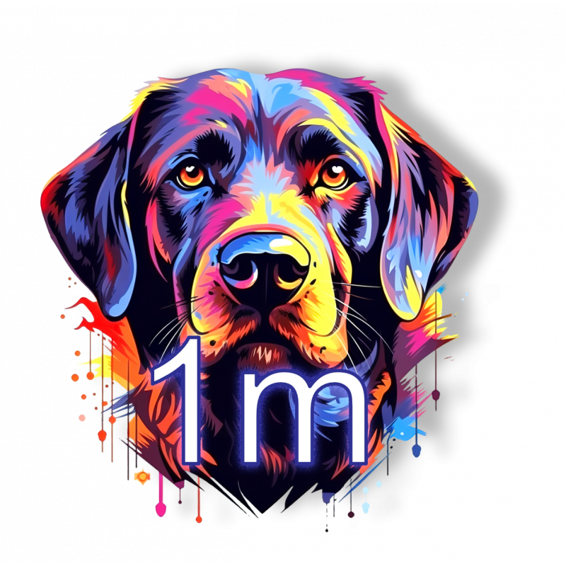 DFT-1m TEST! (nicht bestellen!!)